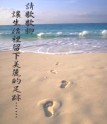 ڦu簲 t